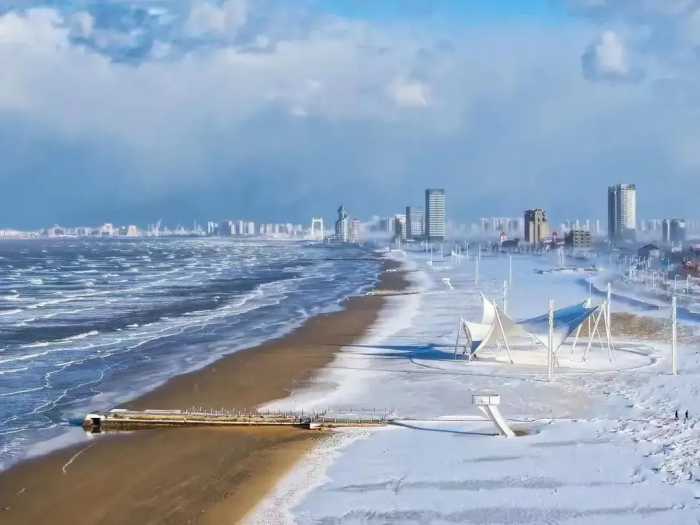 烟台下了场大雪，交通就完全瘫痪了！烟台人的心比雪还冷！