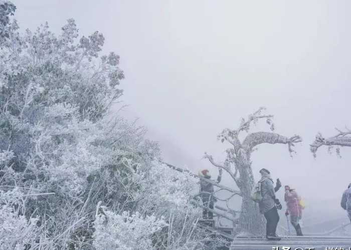 下雪啦！下雪啦！广东下雪了！广东冬天的第一场雪！