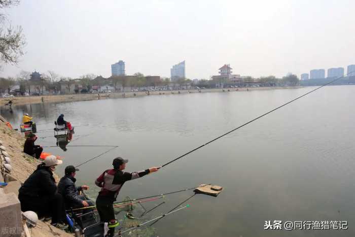 鱼是怎么繁殖的？一尾鲫鱼或鲤鱼居然一年繁衍后代十万尾