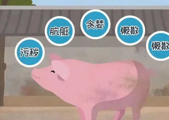 回族不吃猪肉，满族不吃狗肉，那汉族不吃啥肉？很多人早已忘记