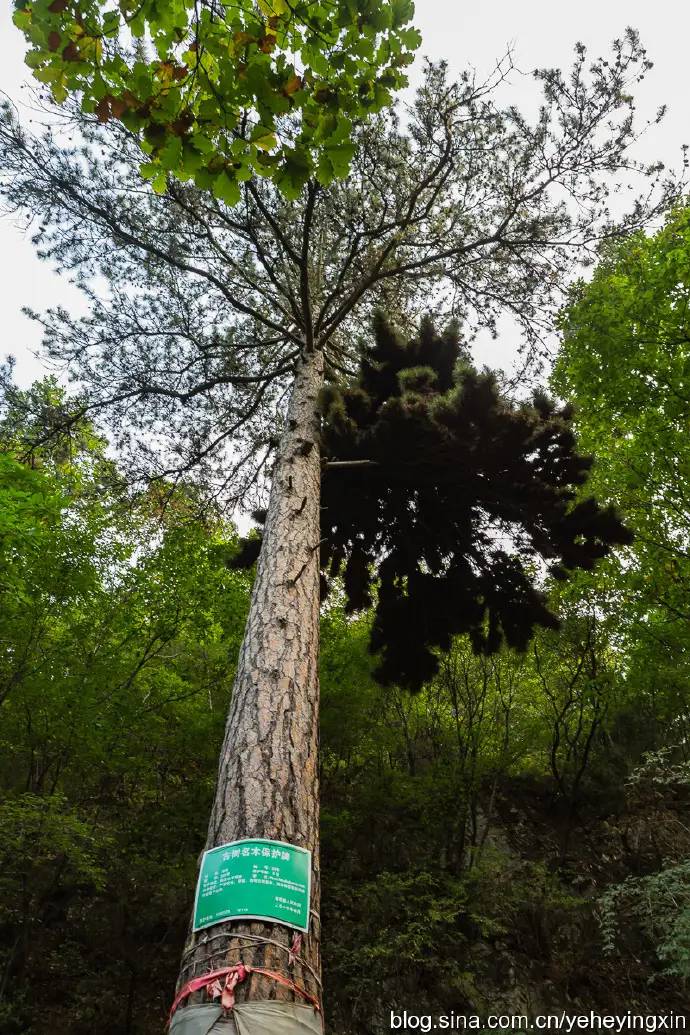 【原创】高僧法显出家地——仙堂山