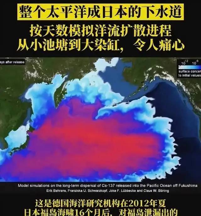 上海一天销售8000只波龙，日本核废水被忘记？中国人只有7秒记忆